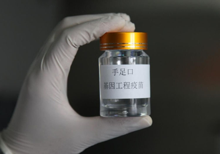 新国大苏研院成功开发全球首例人手足口病基因工程疫苗