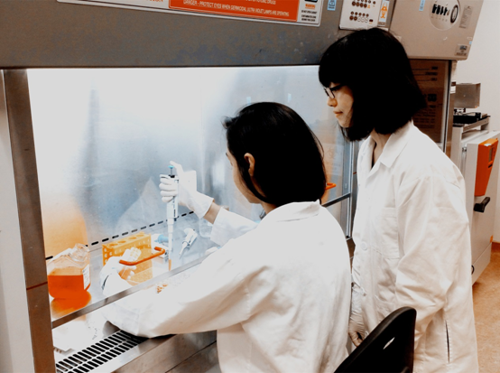 新国大苏研院孵化企业应求生物科技有限公司在澳大利亚上市
