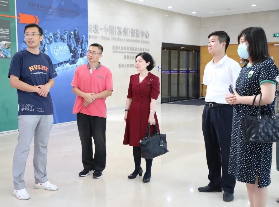 人社部国际合作司副司长钱晓燕一行来访新国大苏研院